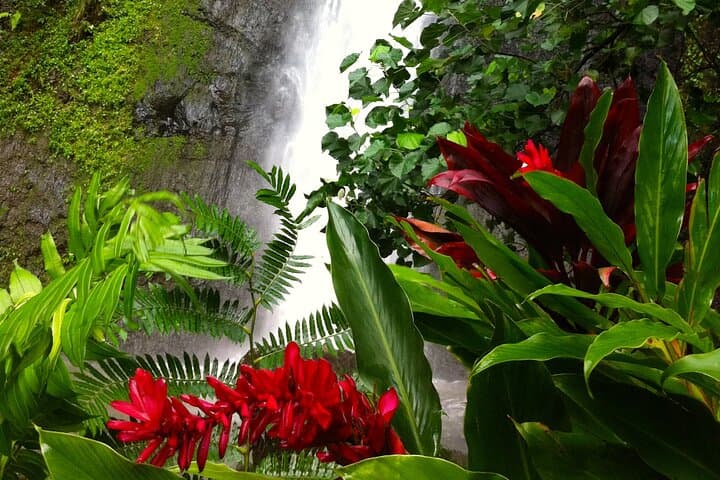 Afareaitu Waterfall Half-Day Hike: Cultural Valley Walk on Moorea