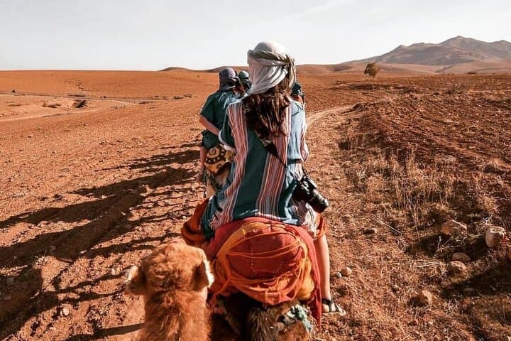 Agafay Desert Sunset Camel Ride from Marrakech — Evening Camel Tour Guide photo 5