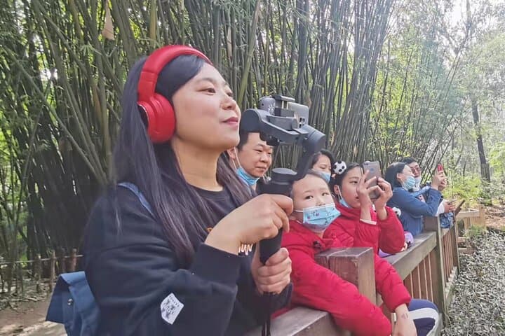 Live-Stream Meet Pandas at Chengdu Research Base — Virtual Panda Encounter
