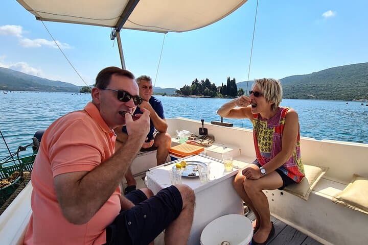 Pelješac Private Oyster and Wine Tasting Day Trip from Dubrovnik photo 5