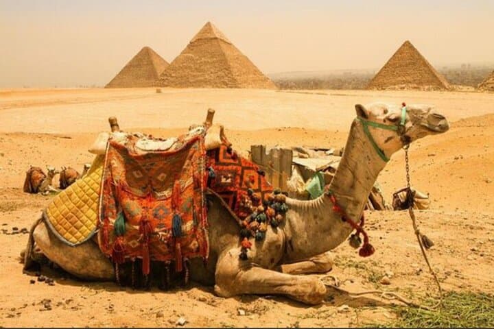 Giza Pyramids Private Tour: Camel Ride, Pyramid Entry & ATV Desert Safari photo 5
