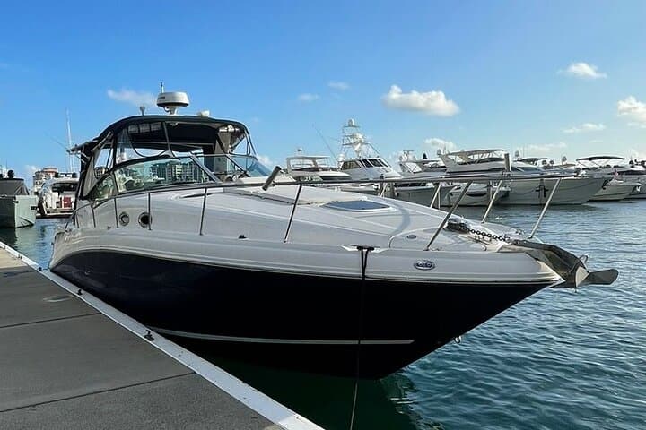 Private Miami Yacht Rental: 2–4 Hour Sundancer Charter in Biscayne Bay photo 4