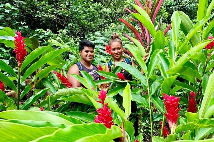 Afareaitu Waterfall Half-Day Hike: Cultural Valley Walk on Moorea photo 4
