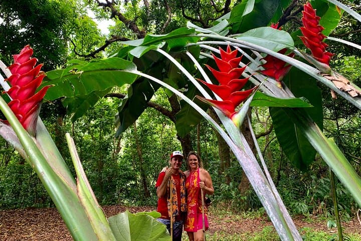 Afareaitu Waterfall Half-Day Hike: Cultural Valley Walk on Moorea photo 5