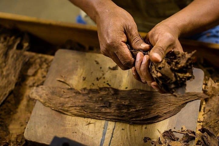 Costa Rica Cigar & Rum Tasting in Playa Flamingo — Hacienda Workshop and Hand-Rolled Cigars photo 3