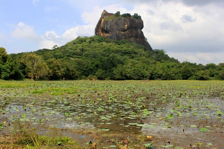 Colombo to Sigiriya Private Transfer — Smooth 4‑Hour Ride to Lion Rock photo 5