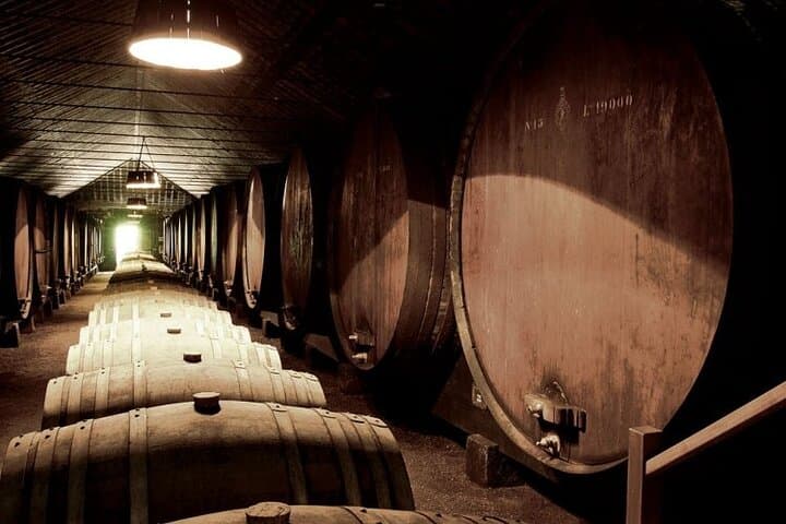 South Bay Wine Experience from Lisbon: Private Full-Day Tour to Setúbal & Azeitão