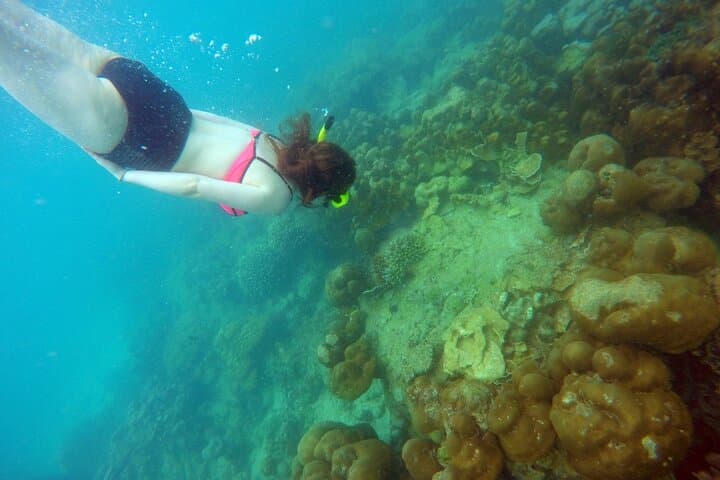 Private Speedboat Tour to Maiton, Racha & Coral Islands from Phuket photo 3