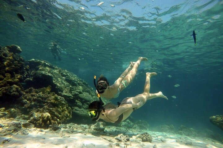 Private Speedboat Tour to Maiton, Racha & Coral Islands from Phuket photo 4