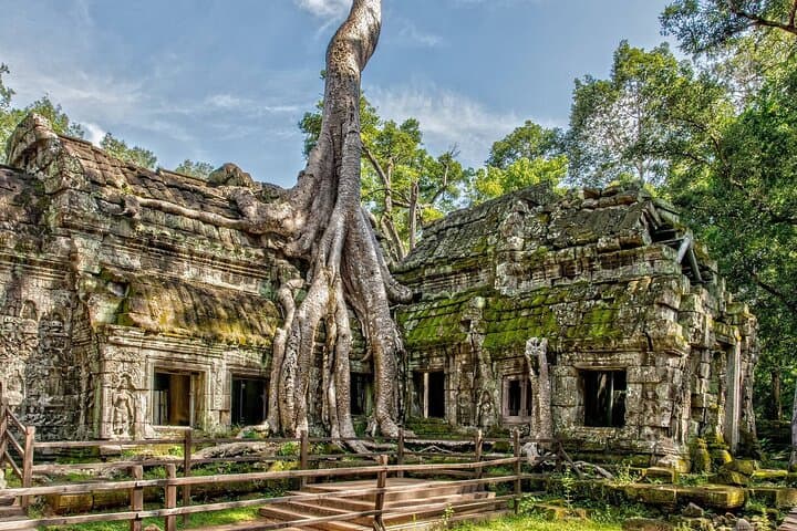 Angkor's Major Temples: Private Guided Day Tour from Siem Reap photo 3