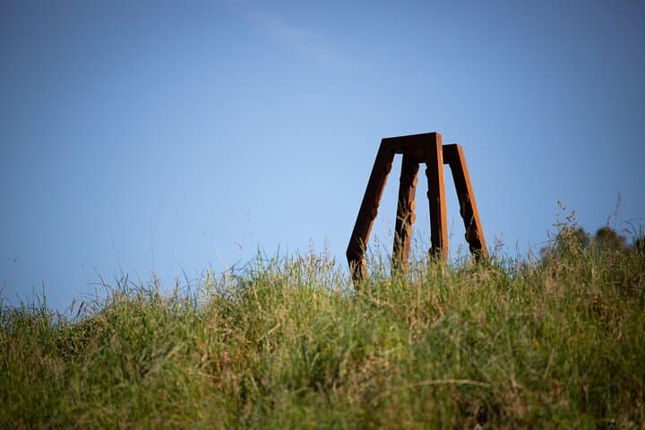 matakana-art-and-vineyard-day-tour-from-auckland photo 2