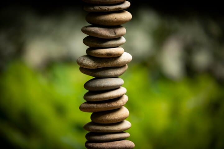 matakana-art-and-vineyard-day-tour-from-auckland photo 3