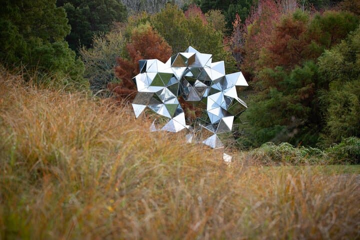 matakana-art-and-vineyard-day-tour-from-auckland photo 4