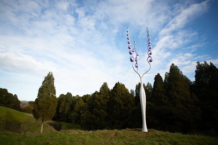 matakana-art-and-vineyard-day-tour-from-auckland photo 6