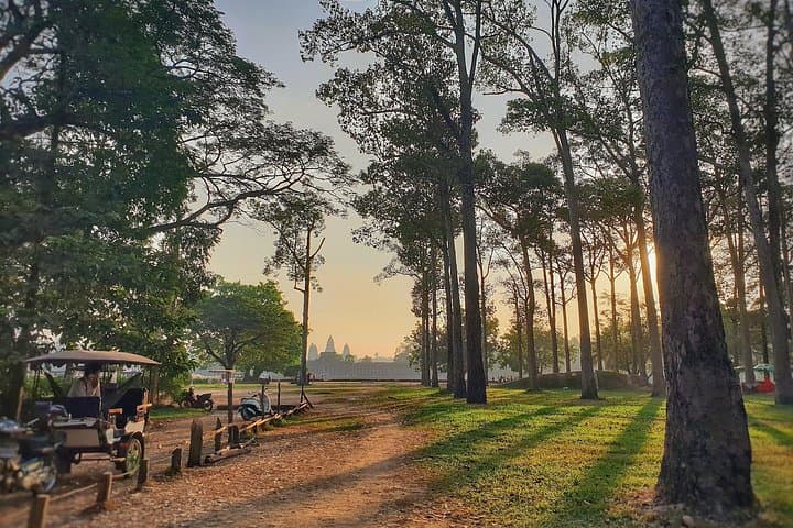 Sunrise at Angkor Wat: Private Guided Tour of Angkor Wat, Ta Prohm & Angkor Thom photo 4