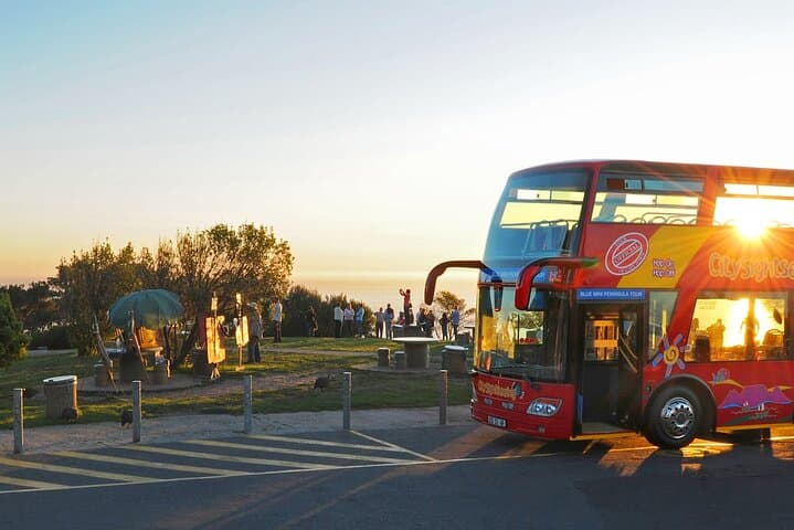 Cape Town Summer Sunset Bus Tour — Signal Hill Picnic & Atlantic Seaboard Views photo 2