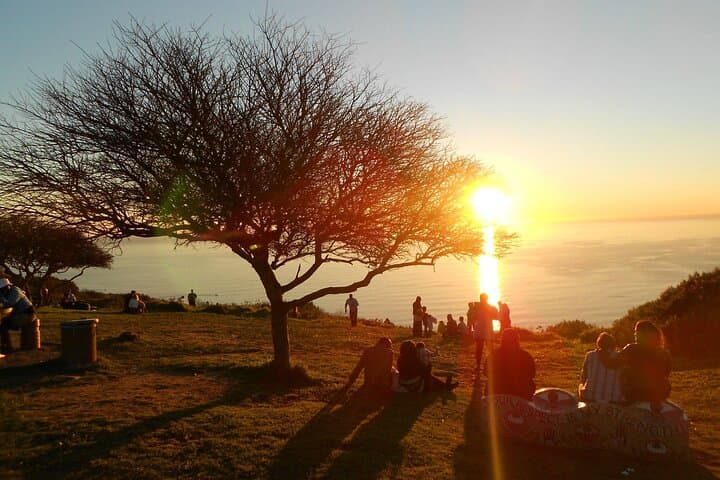 Cape Town Summer Sunset Bus Tour — Signal Hill Picnic & Atlantic Seaboard Views
