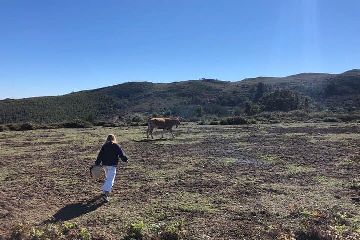 Mountain Picnic at Foia — Private Portuguese Picnic in Serra de Monchique photo 4