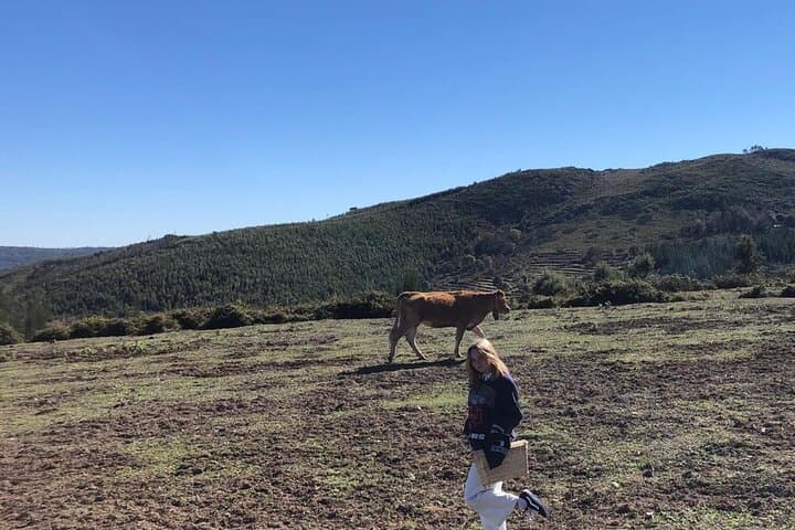 Mountain Picnic at Foia — Private Portuguese Picnic in Serra de Monchique photo 5