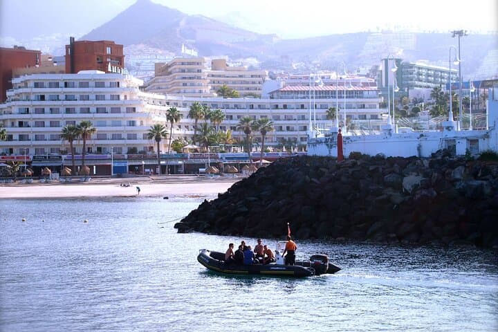 Try Scuba Diving with Turtles in South Tenerife — 2-Hour Boat Intro Dive photo 5