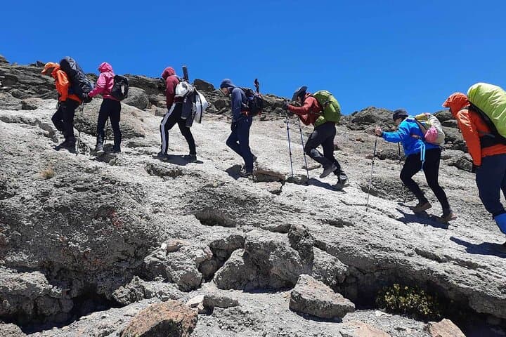 Private 8-Day Lemosho Route Kilimanjaro Trek from Moshi