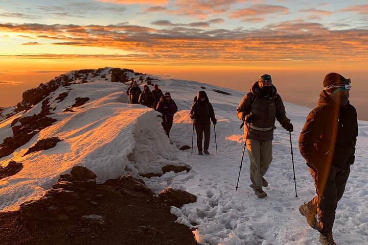 Private 8-Day Lemosho Route Kilimanjaro Trek from Moshi photo 2