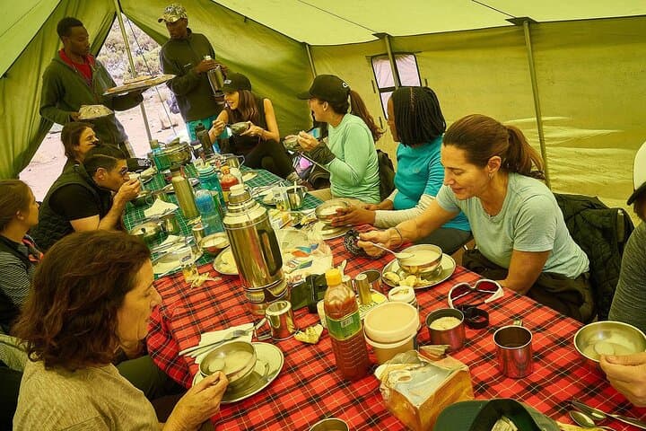 Private 8-Day Lemosho Route Kilimanjaro Trek from Moshi photo 4
