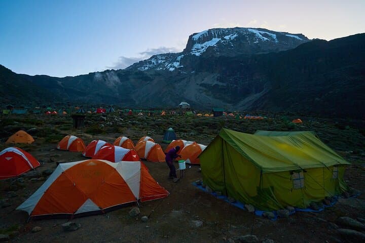 Private 8-Day Lemosho Route Kilimanjaro Trek from Moshi photo 5