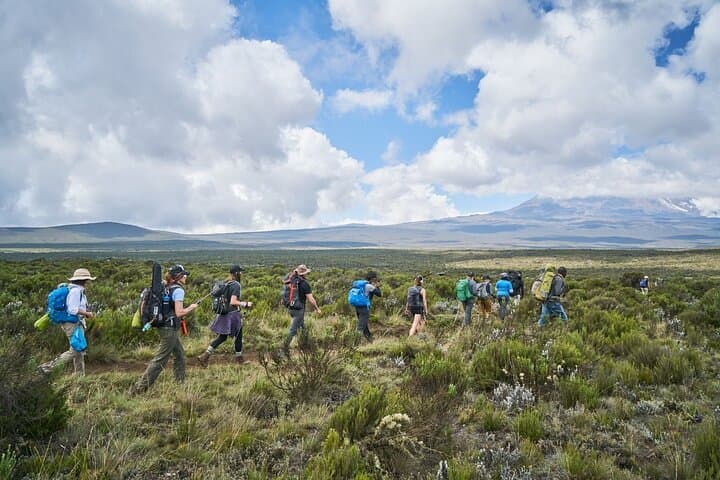 Private 8-Day Lemosho Route Kilimanjaro Trek from Moshi photo 6