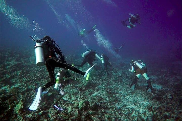 Scuba Diving Daymaniyat Islands: Coral Reefs, Turtles & Seasonal Whale Sharks photo 1