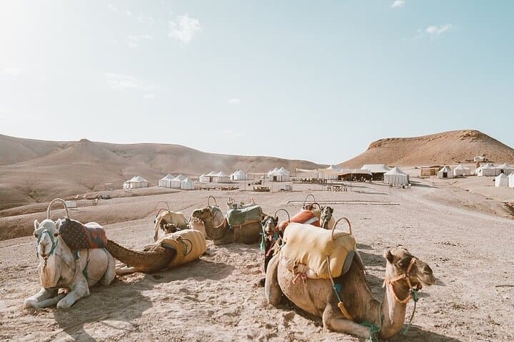 Agafay Desert Day Trip from Marrakech — Camel Rides, Berber Lunch & Argan Village Visits