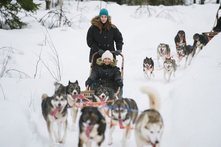 Rovaniemi Husky & Reindeer Safari with Northern Lights BBQ Experience photo 5