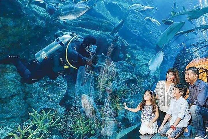 Dubai Full-Day Highlights: Burj Khalifa, Dubai Aquarium & Old City Tour photo 1