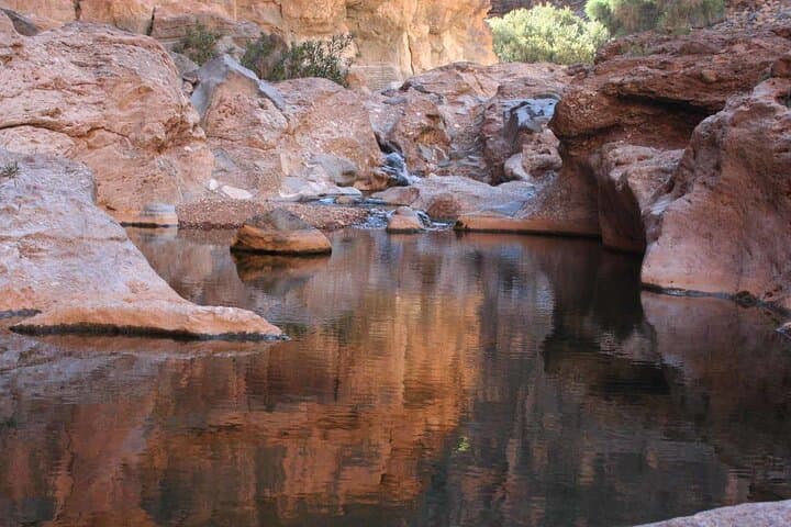 Half-Day Souss Massa National Park Excursion from Agadir: Wildlife & Coastal Dunes photo 3