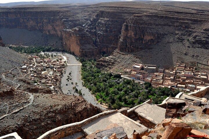 Half-Day Souss Massa National Park Excursion from Agadir: Wildlife & Coastal Dunes photo 4