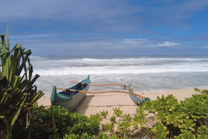 North Shore Oahu Day Tour: Waterfalls, Turtles, Dole & Haleiwa in One Day photo 3