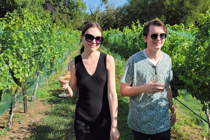 Sip and Explore: Private Sedona Wine Tour Along Page Springs Road photo 6
