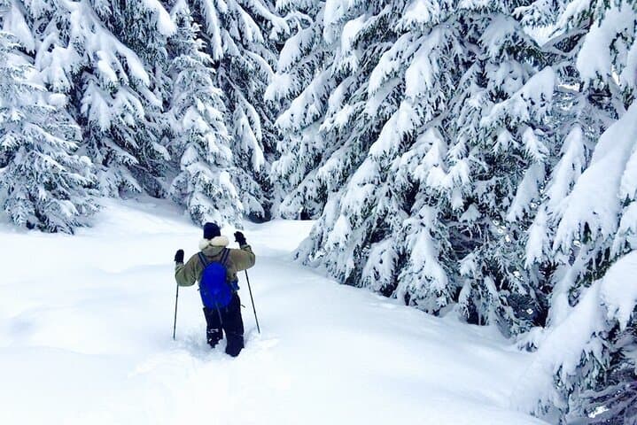 Half-Day Guided Snowshoe Hike in the Allgäu: Winter Trails near Oberstdorf photo 2