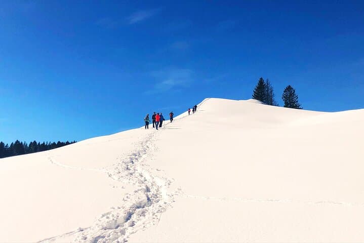 Half-Day Guided Snowshoe Hike in the Allgäu: Winter Trails near Oberstdorf photo 4