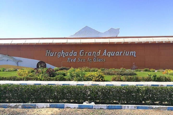 Hurghada Grand Aquarium: Explore Egypt's Red Sea Marine World
