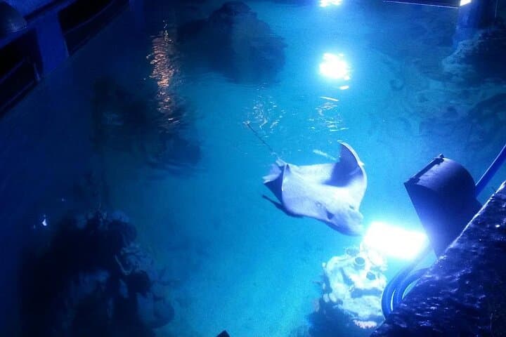 Hurghada Grand Aquarium: Explore Egypt's Red Sea Marine World photo 4