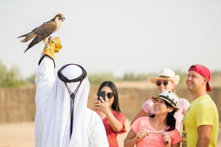 Sunrise Hot Air Balloon Over Dubai Desert — Bedouin Breakfast & Camel Ride photo 6