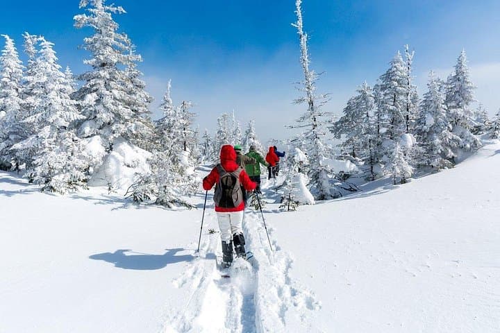 Snowshoe Experience in Rovaniemi: Guided Winter Walk in Finnish Lapland photo 2