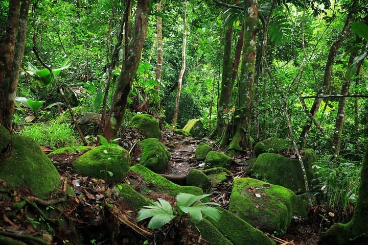 Morne Blanc Nature Trail: Steep Hike & Panoramic Views on Mahé, Seychelles photo 3