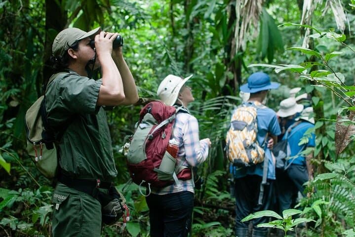 3-Day Sandoval Lake Amazon Wildlife Trip from Puerto Maldonado photo 2