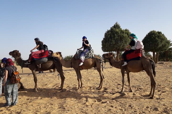 Agafay Desert Sunset Safari: Camel Ride, Quad Option & Moroccan Dinner photo 4