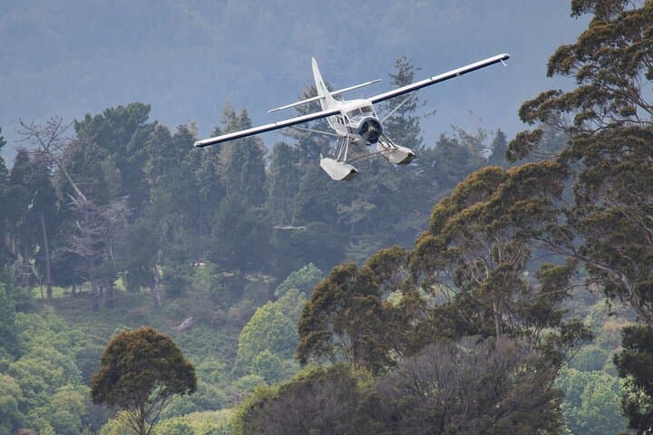 Tarawera Eruption Trail Scenic Flight and Lake Rotoiti Hot Pools photo 3