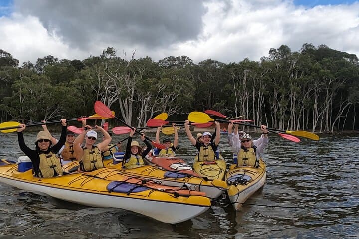 Noosa Everglades Full-Day Guided Kayak Tour — River of Mirrors Adventure photo 2