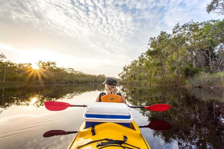 Noosa Everglades Full-Day Guided Kayak Tour — River of Mirrors Adventure