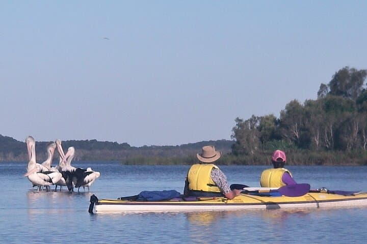 Noosa Everglades Full-Day Guided Kayak Tour — River of Mirrors Adventure photo 4